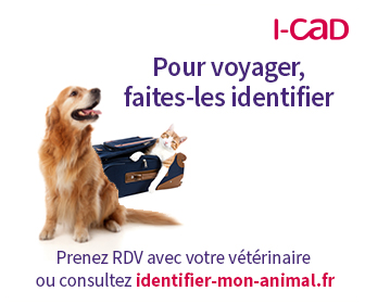 faire identifier votre animal